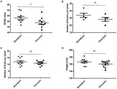 Microbial-based biological treatments improved the nutritional, nutraceutical and functional properties of greenhouse sweet pepper (Capsicum annuum L.)